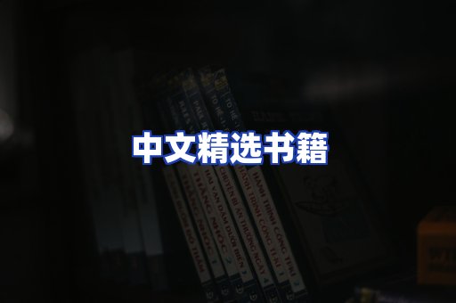 中文精选书籍